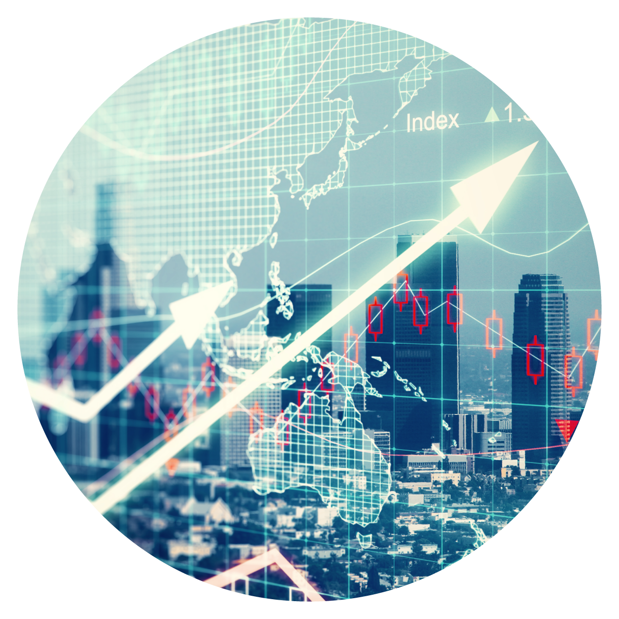 Logo-OTA Market Manager Optimization and Distribution